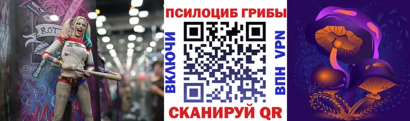Галлюциногенные грибы GOLDEN TEACHER  Бийск 