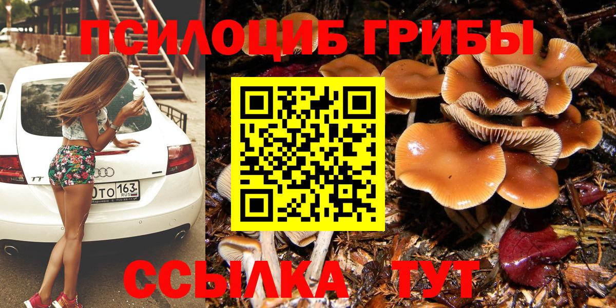 Галлюциногенные грибы ЛСД  Вход с VPN  Бийск 